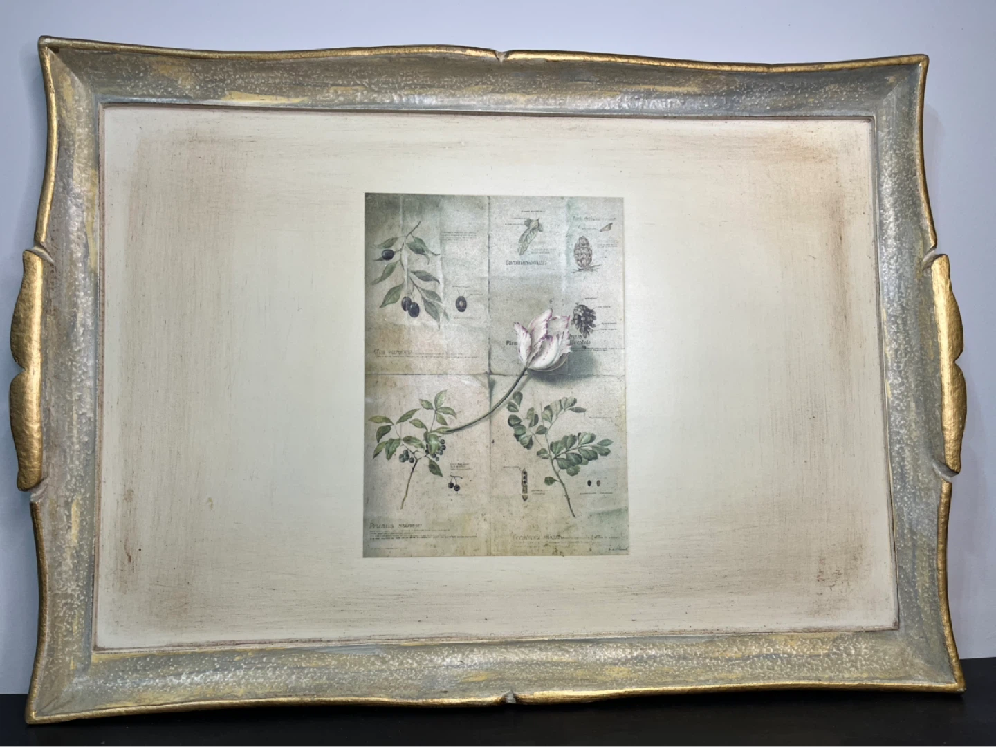 ✨Like New✨ Casa Florentine Decorative Tray - Made in Italy - photo 2