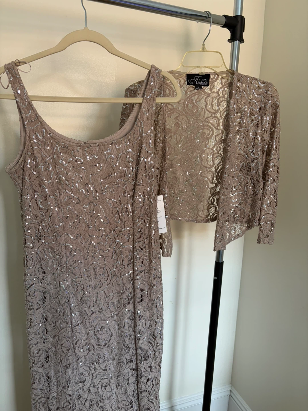 Alex Evenings Lace Sequin Dress & Bolero Set
