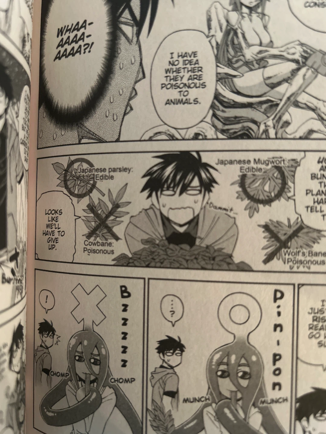Monster Musume Vol. 6 Manga - photo 3