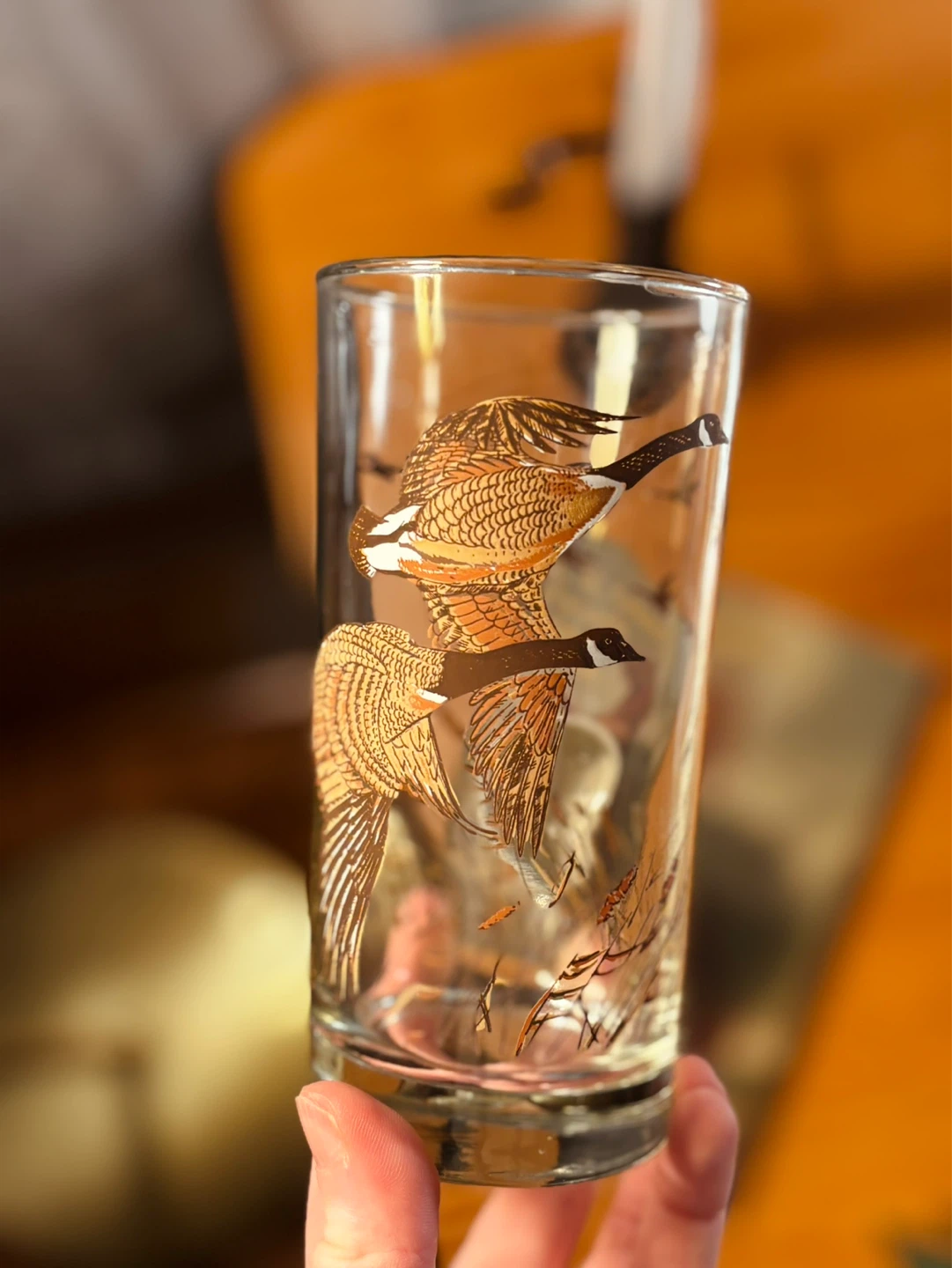 Vintage Canada Geese Tumbler Glass