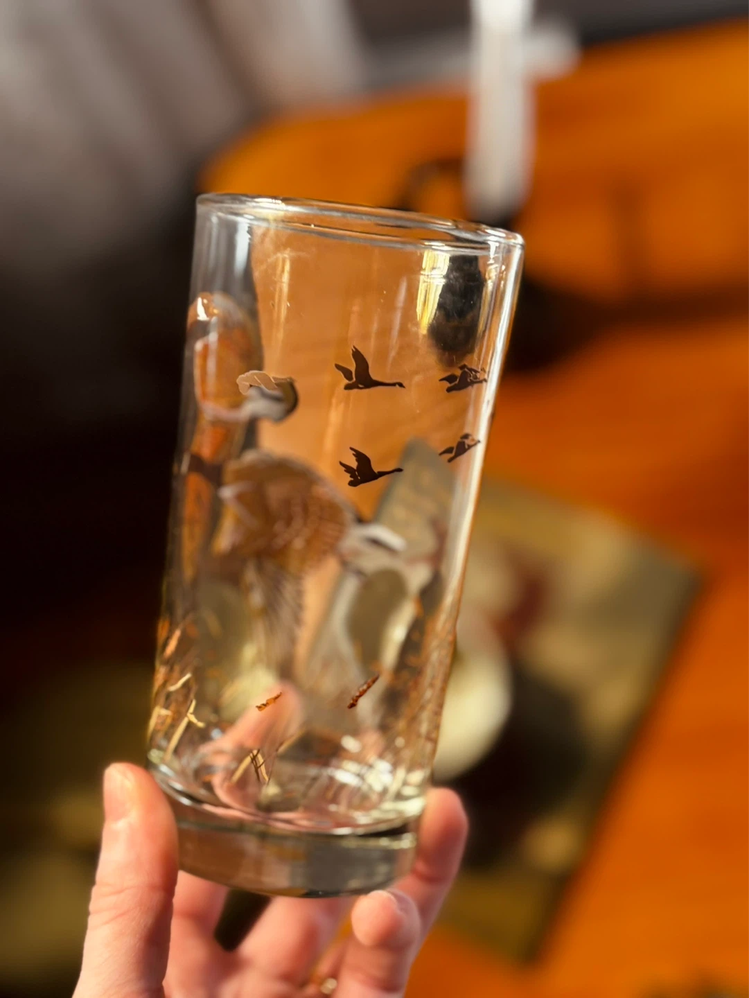 Vintage Canada Geese Tumbler Glass - photo 2