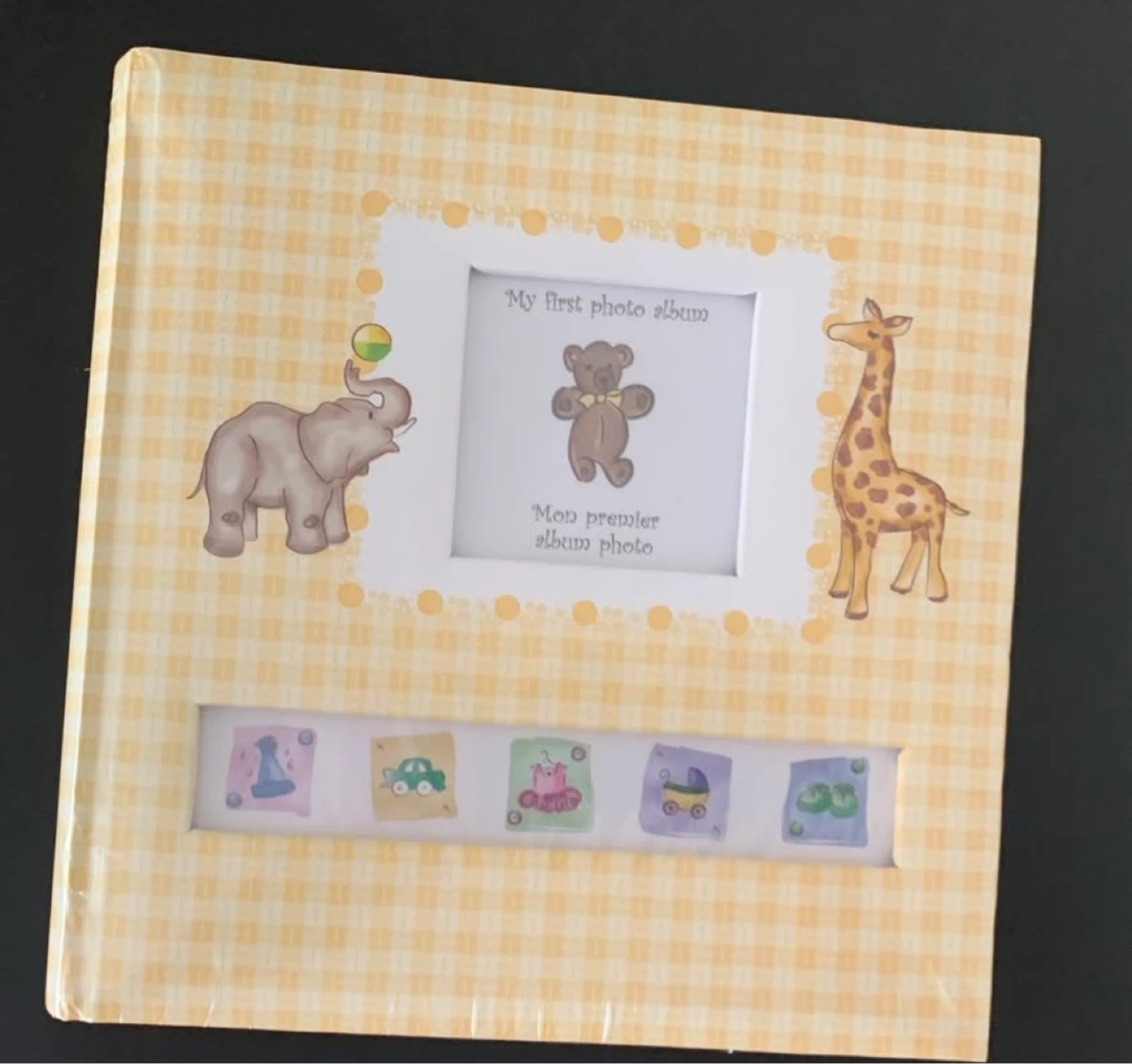 Baby's First Photo Album