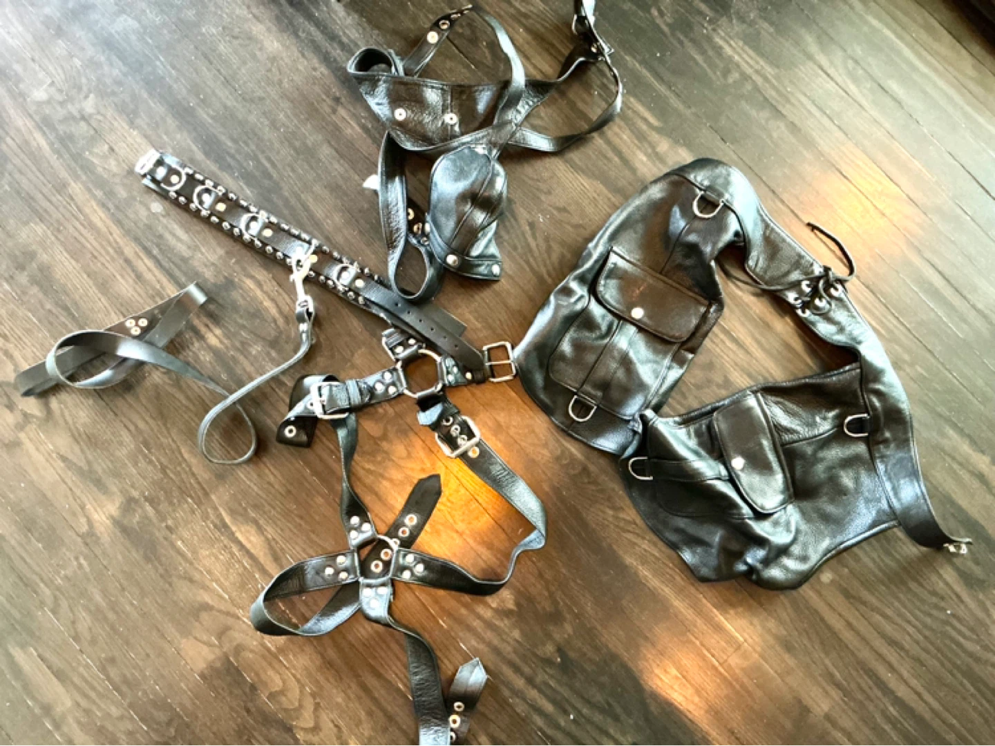 Northbound Leather  Harness Set