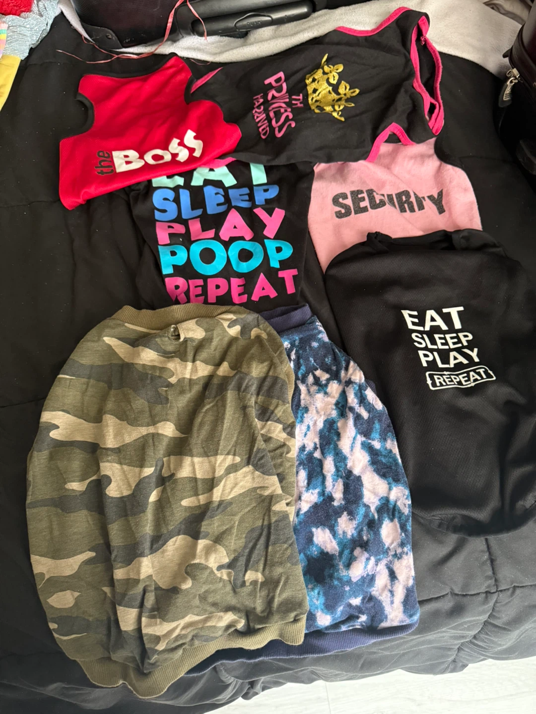 Pet Clothing Bundle