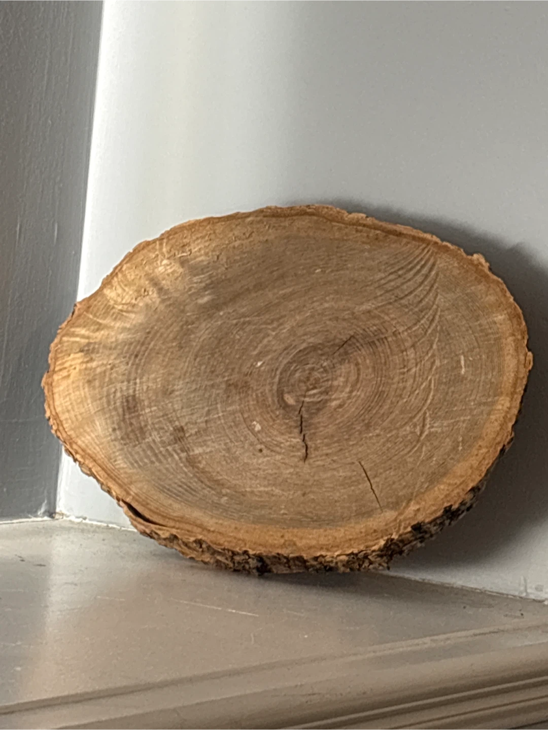 Wooden Log Slice