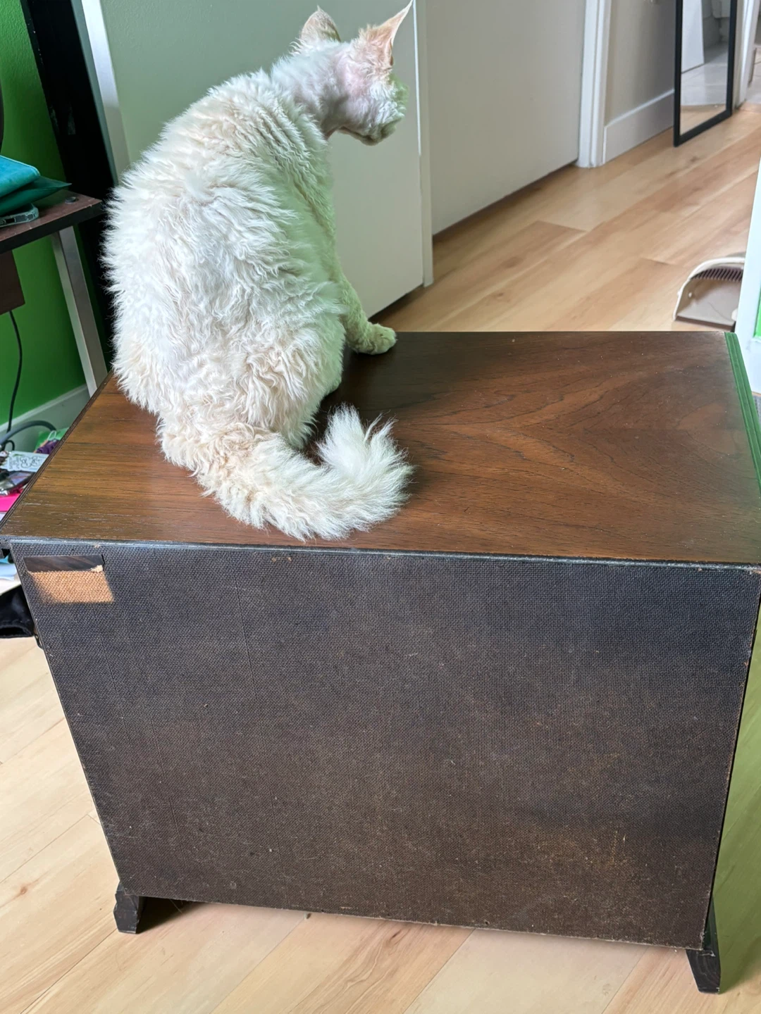 Dark Wood Nightstand x 2 with 2 Drawers - photo 5