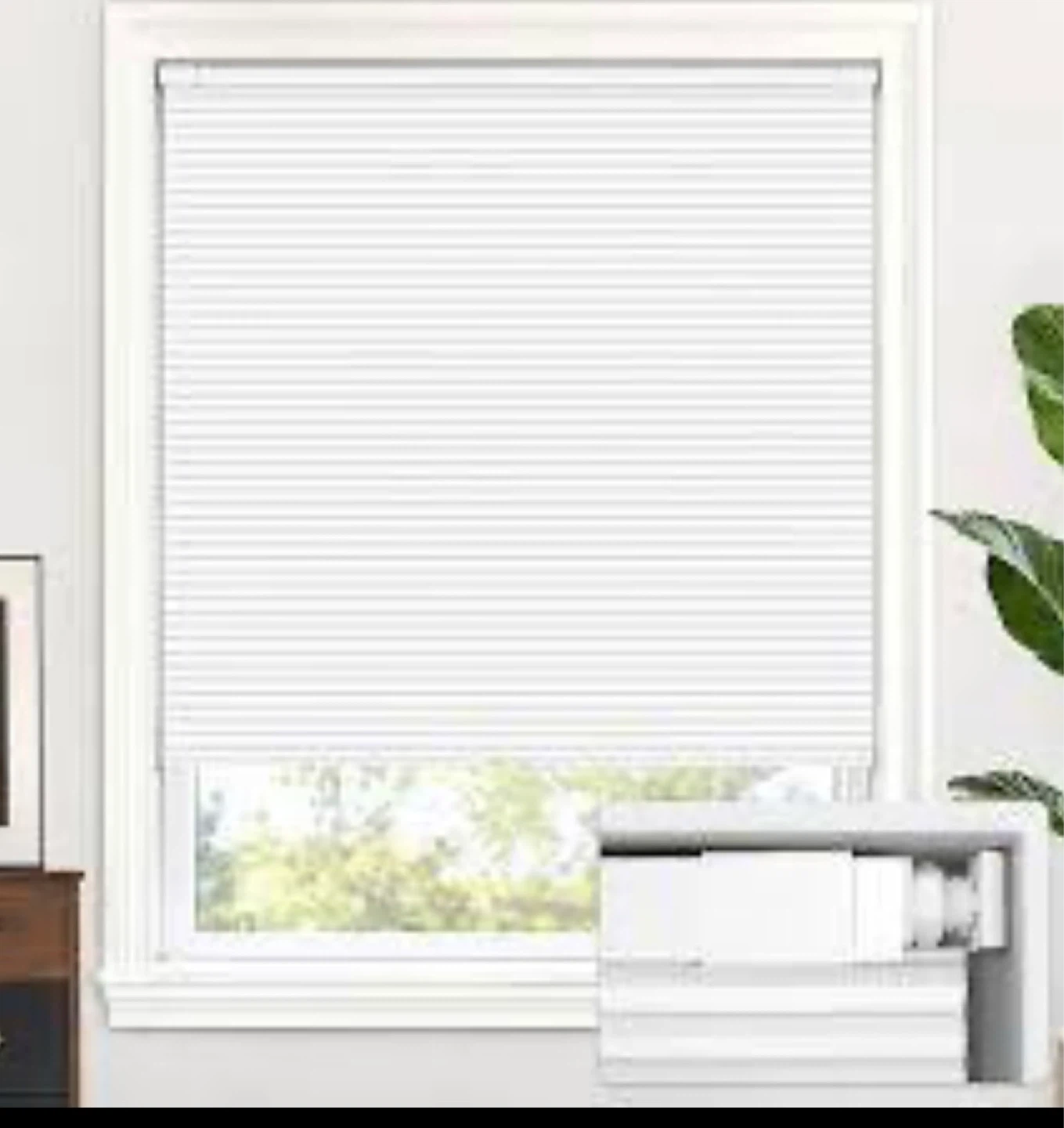 White 32" W x 64" H Cordless Blinds