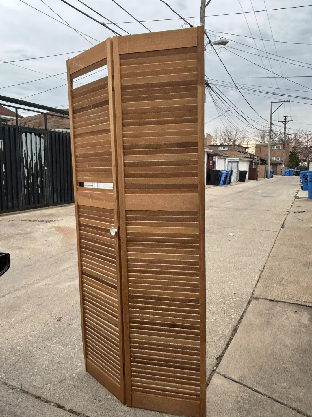 Wooden bi-fold louvered room divider - photo 3