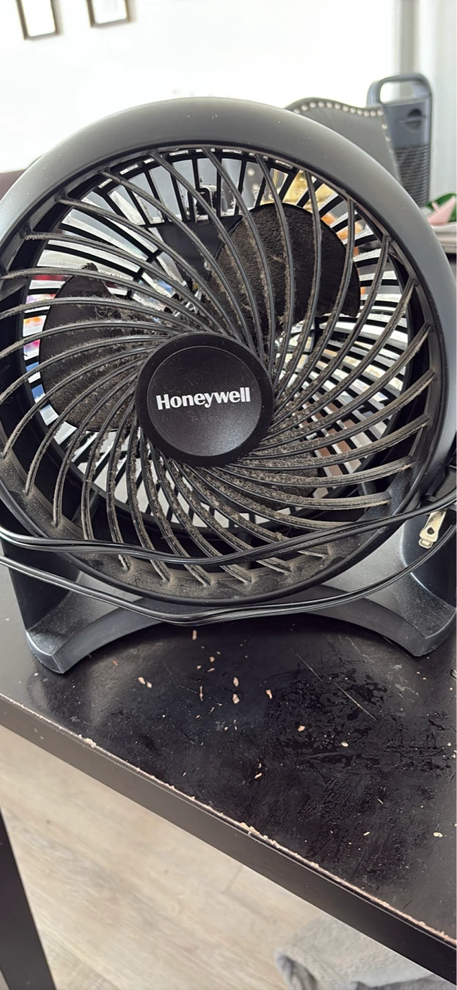 Honeywell Black Personal Fan