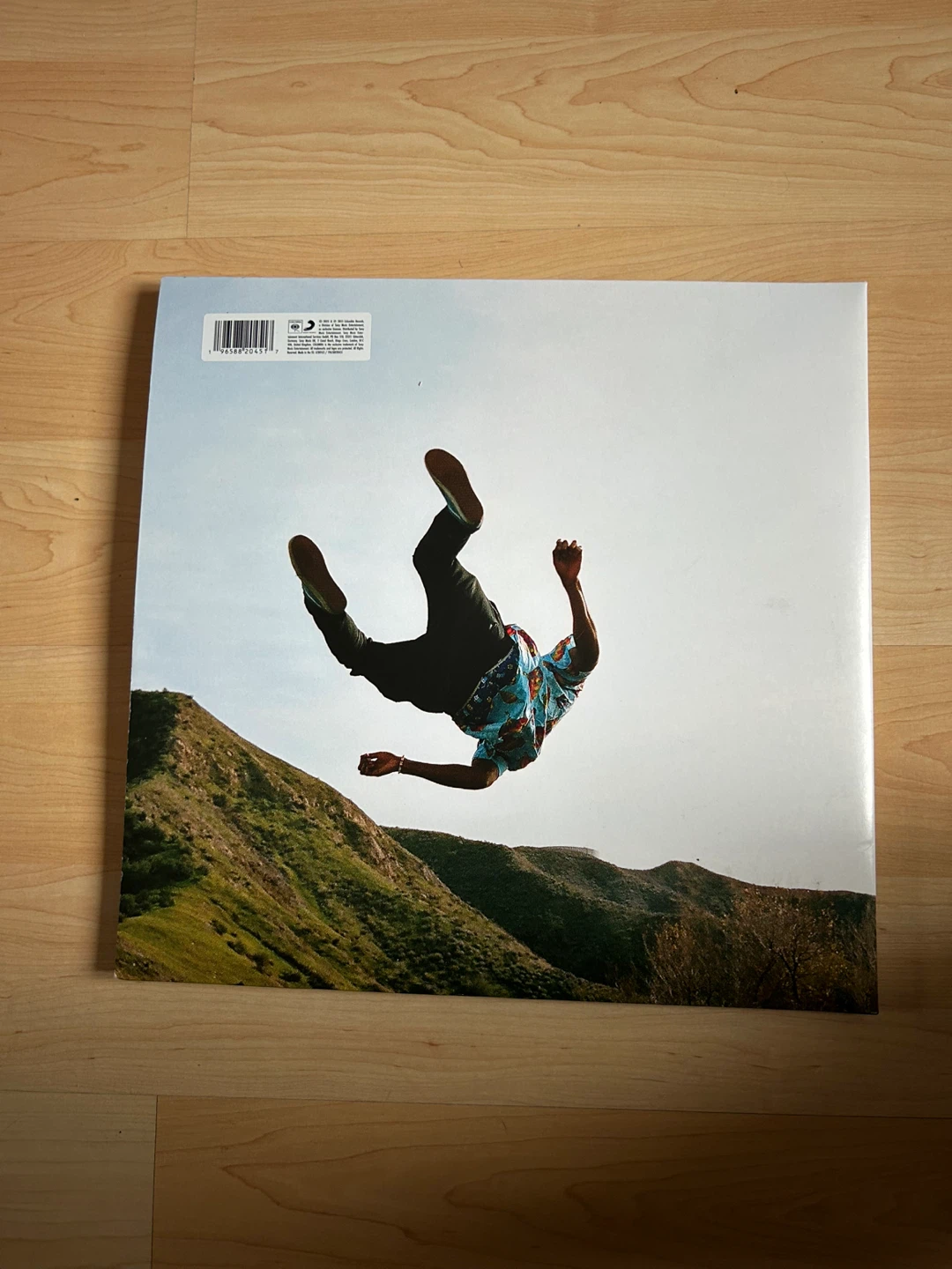Vinyle Wolf de Tyler, The Creator - photo 2