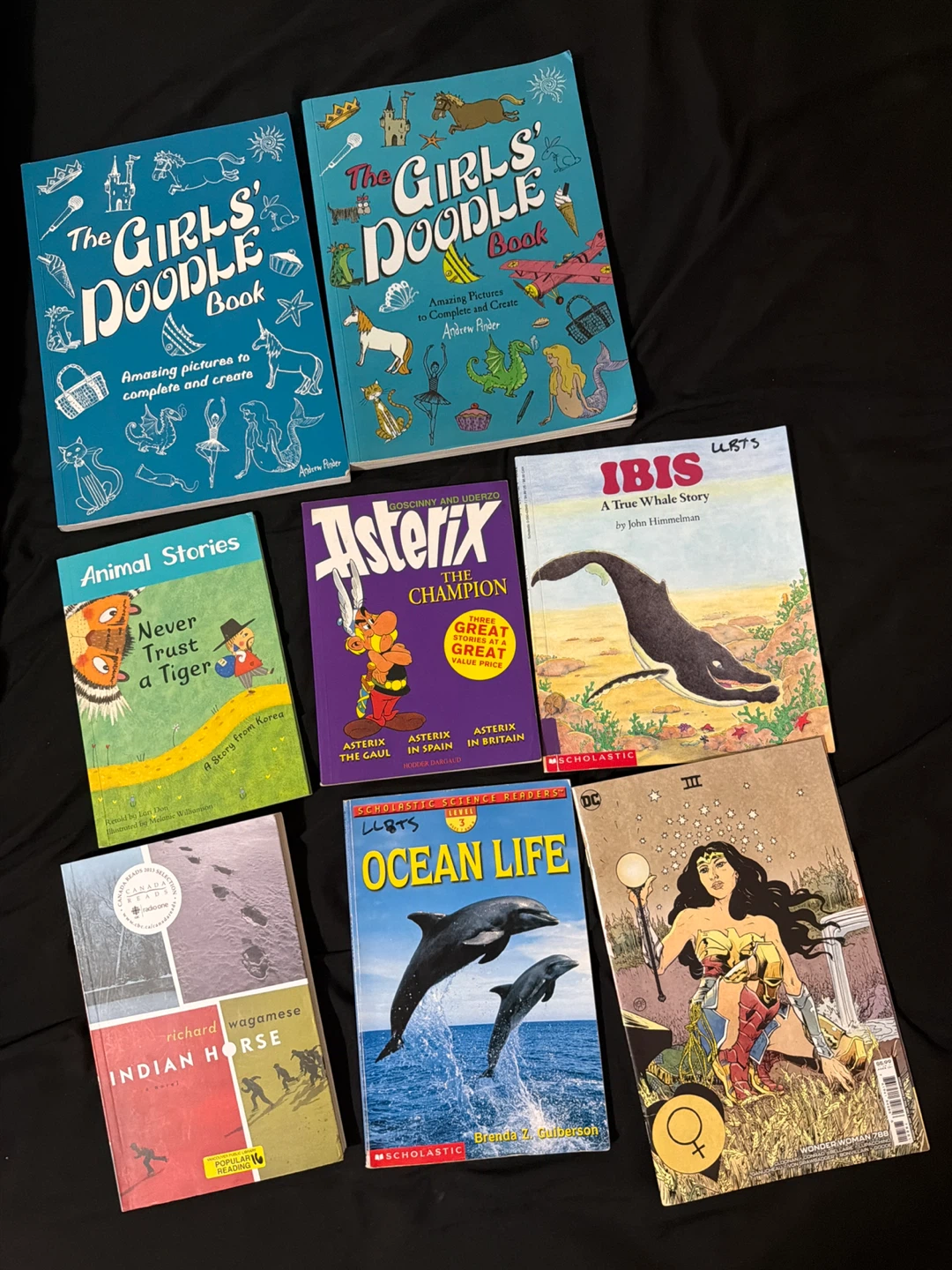 Lot of 8 Books: Doodle Books, Asterix, Indian Horse, and more