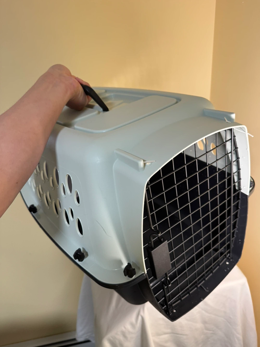 Plastic Pet Carrier