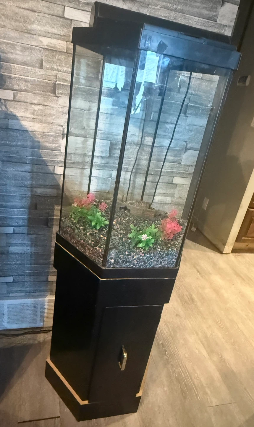Tall Hexagonal Aquarium with Stand - photo 3