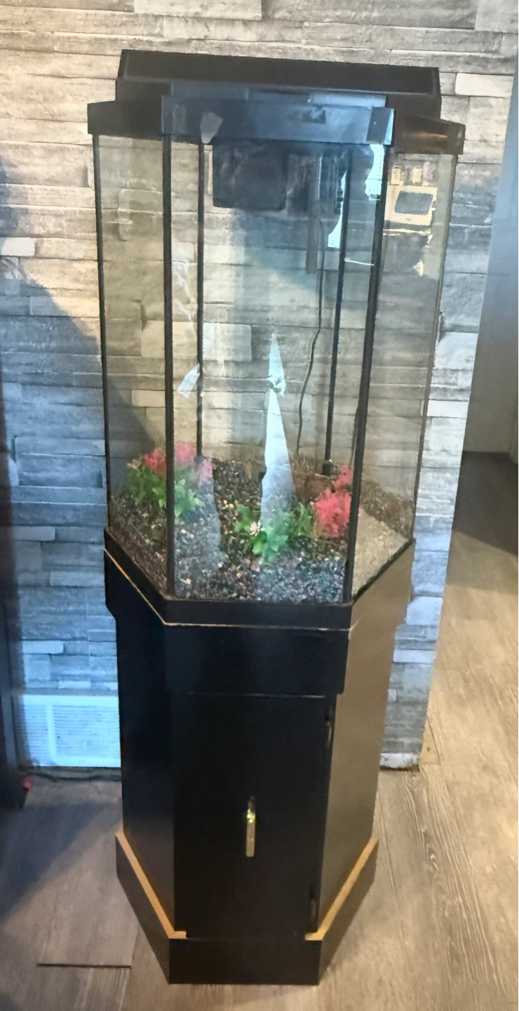 Tall Hexagonal Aquarium with Stand