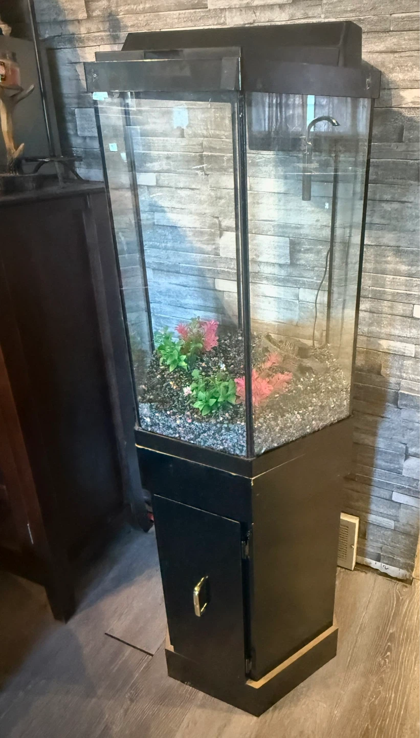 Tall Hexagonal Aquarium with Stand - photo 2
