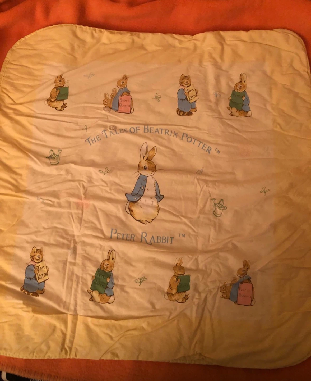 Peter Rabbit Baby Bunting Bag - photo 2