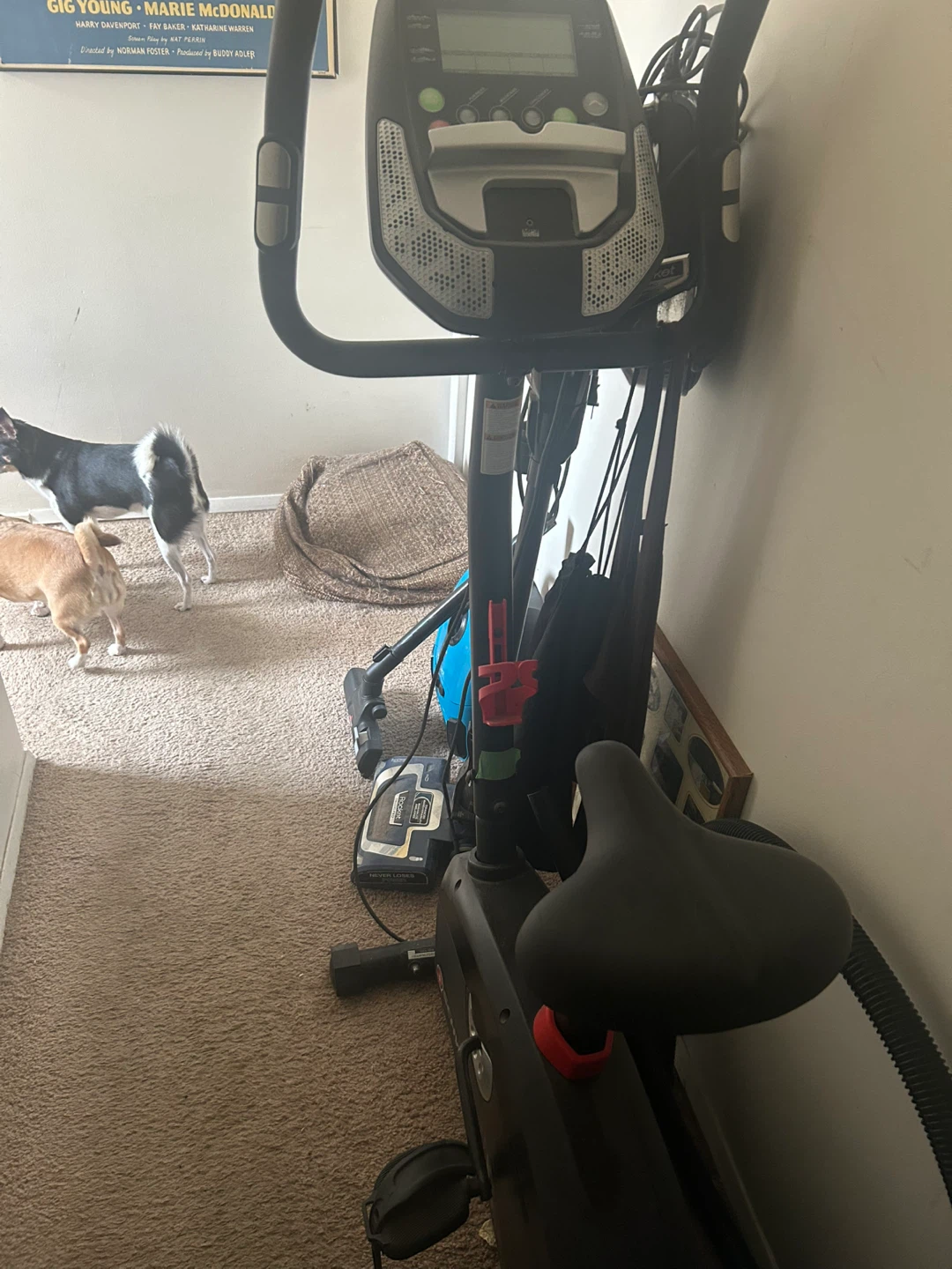 Schwinn Stationary Exercise Bike - photo 2