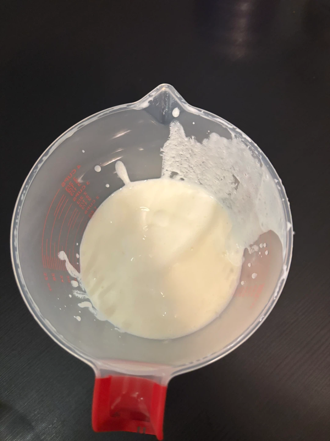 Kefir Grains - Active Starter Culture - photo 3