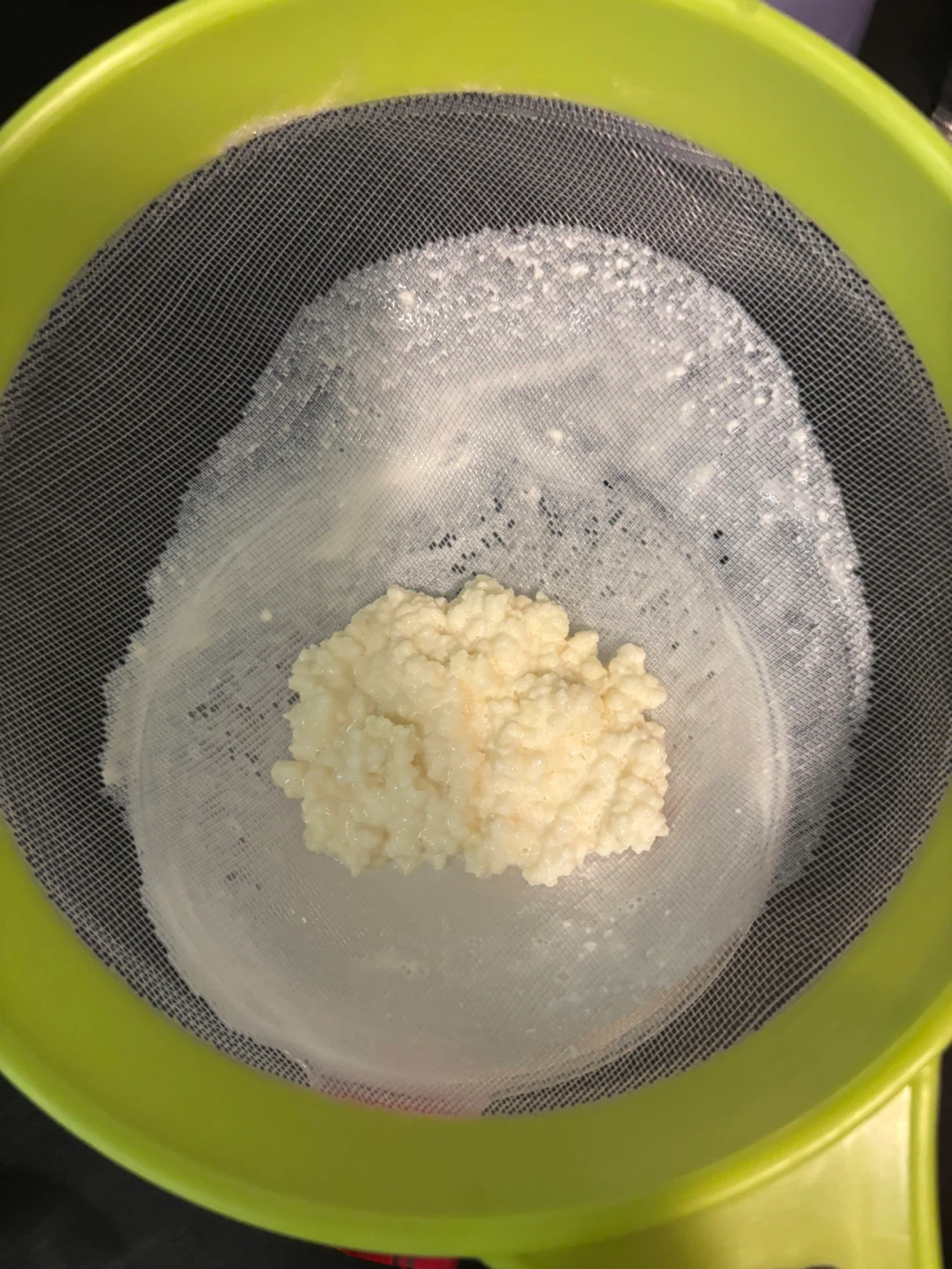 Kefir Grains - Active Starter Culture