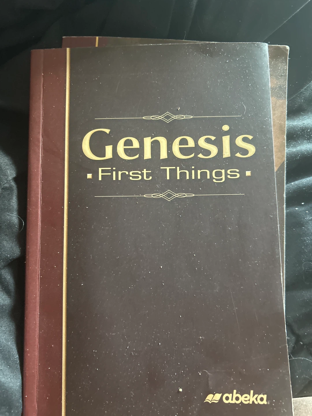 Abeka Genesis First Things Book