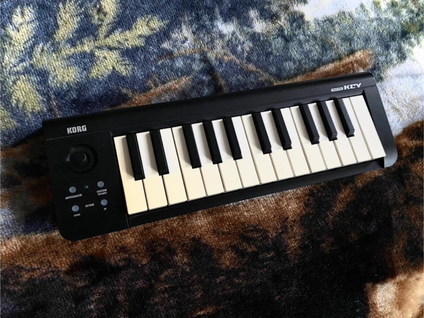 KORG MicroKey25 Dual HUB USB Keyboard Controller with Box - photo 4