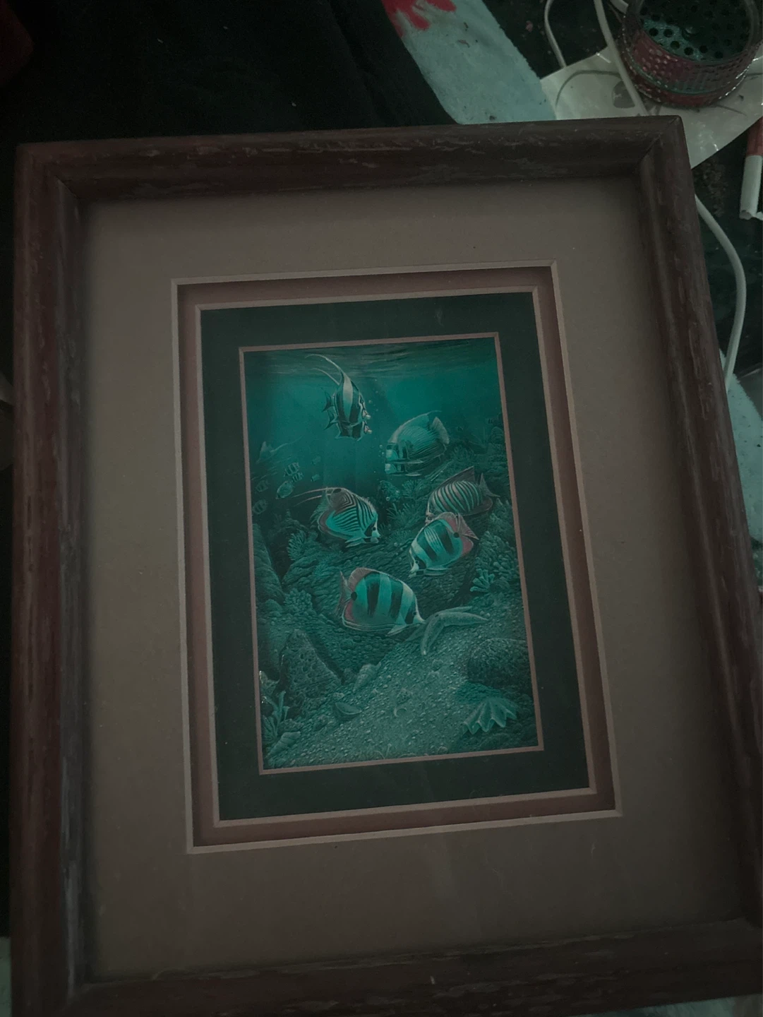 Framed Underwater Scene with Tropical Fish