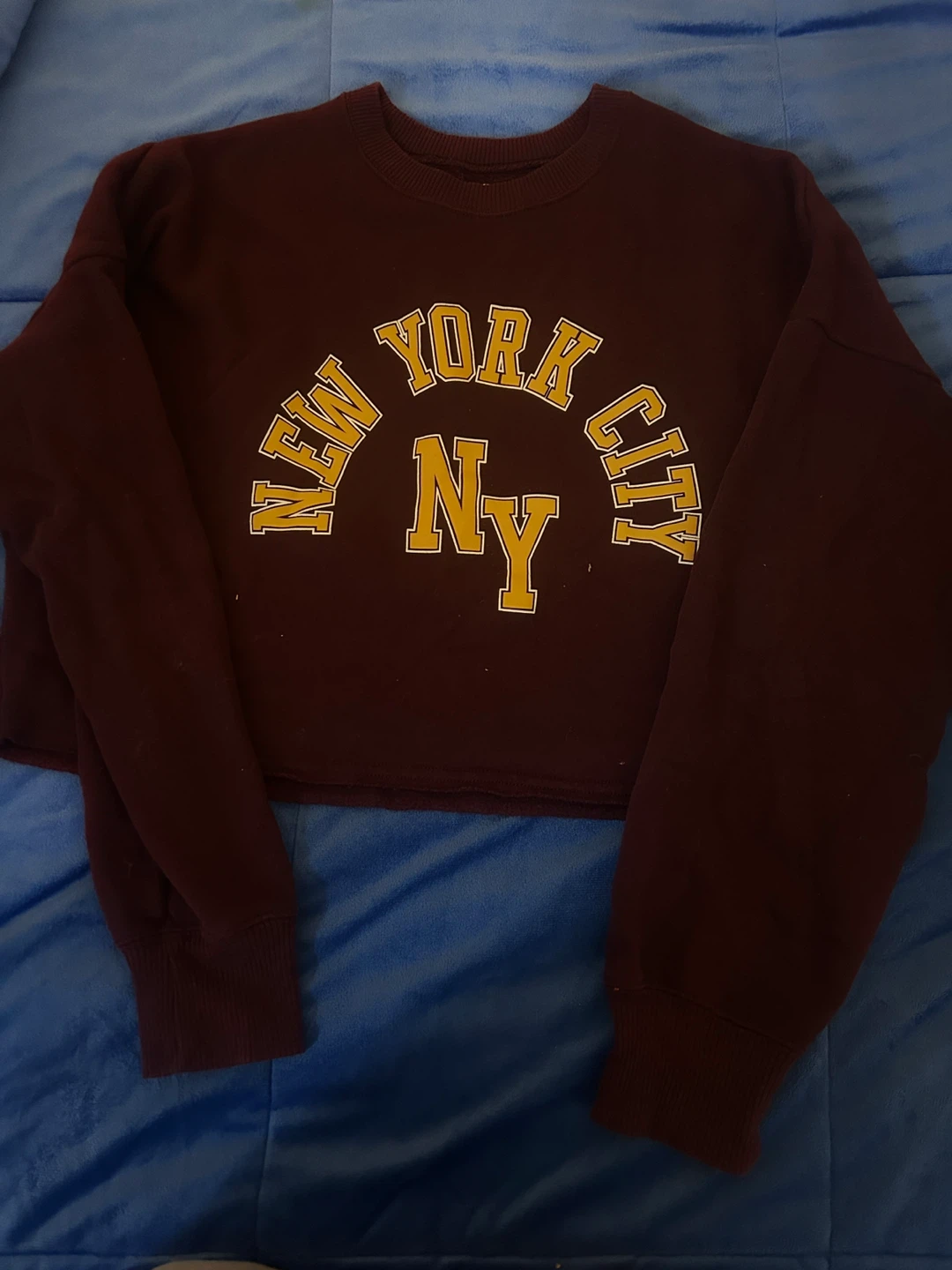 Hollister New York City Cropped Sweatshirt