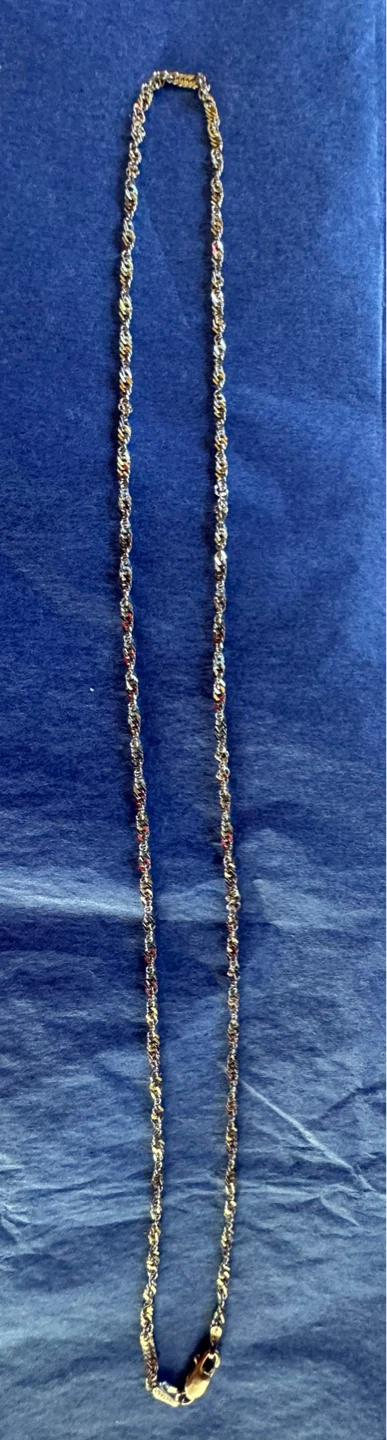 10K White Gold Rope Chain Necklace
