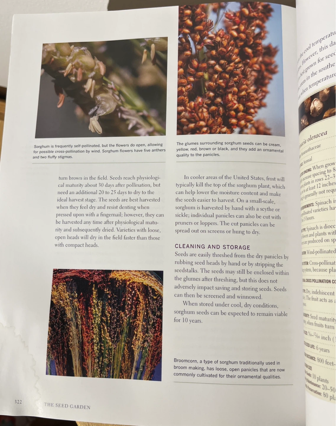 The Seed Garden: The Art and Practice of Seed Saving Book - photo 3