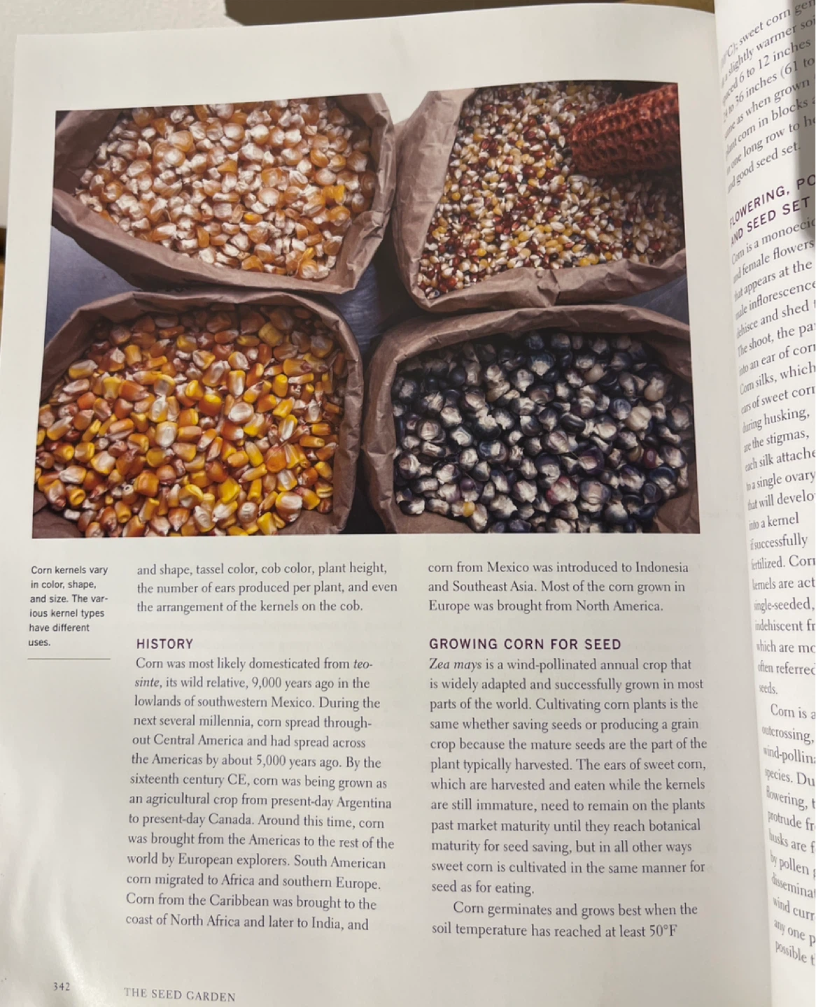 The Seed Garden: The Art and Practice of Seed Saving Book - photo 4