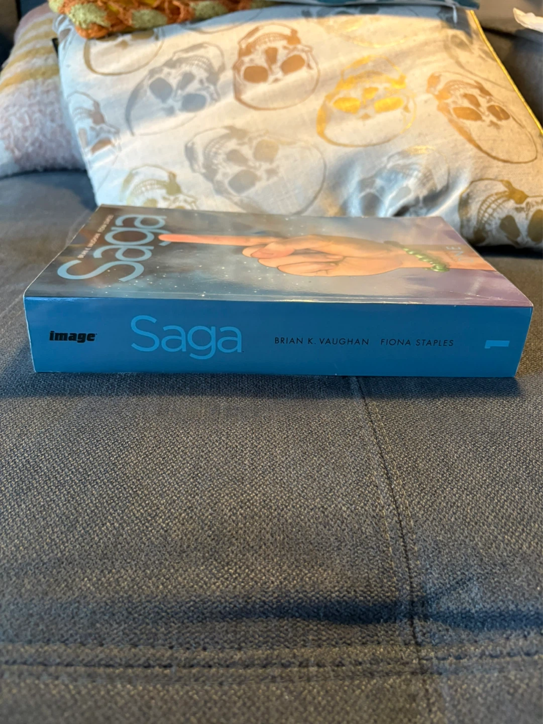 Saga Graphic Novel - photo 3