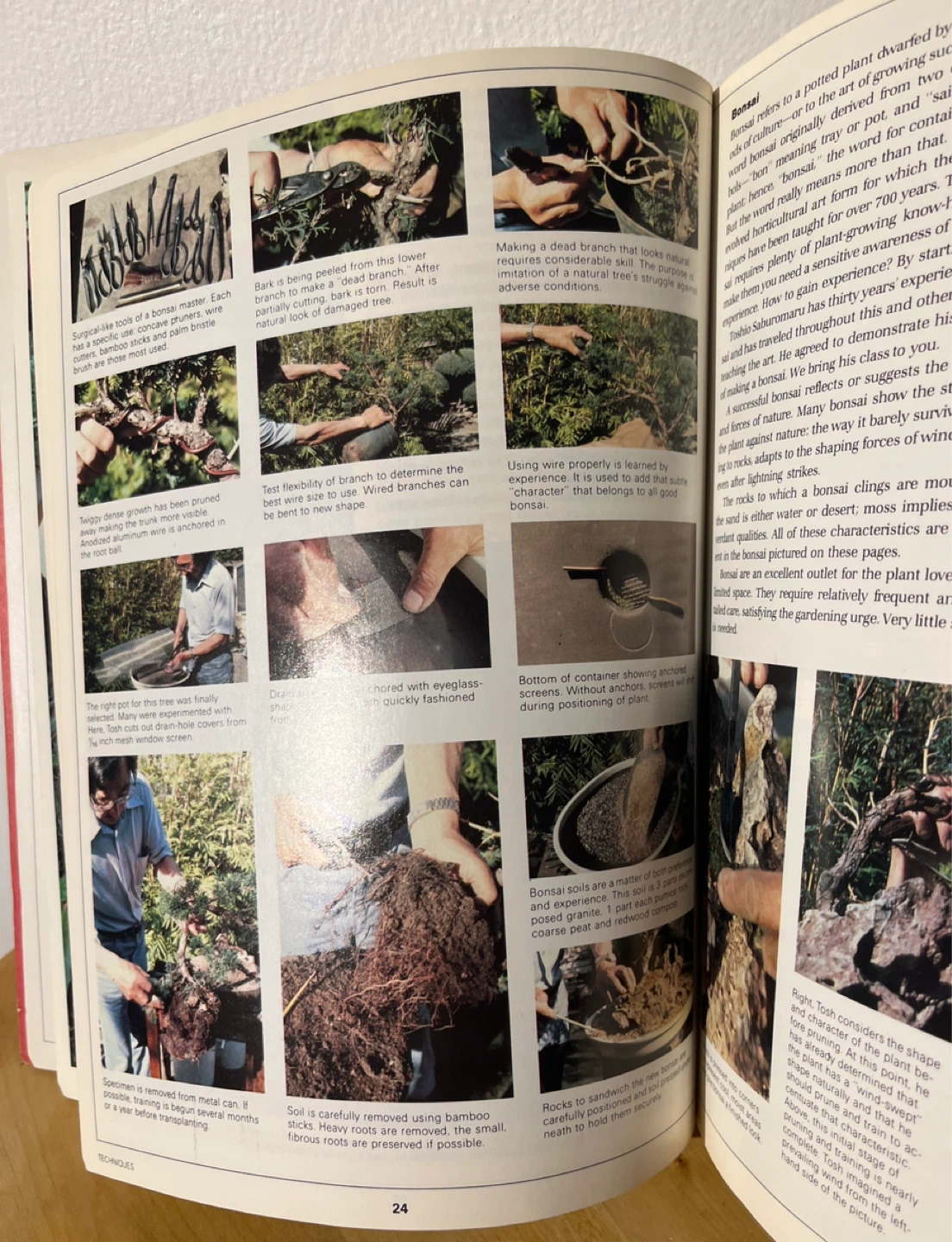 Award-Winning Small-Space Gardens Book - photo 3