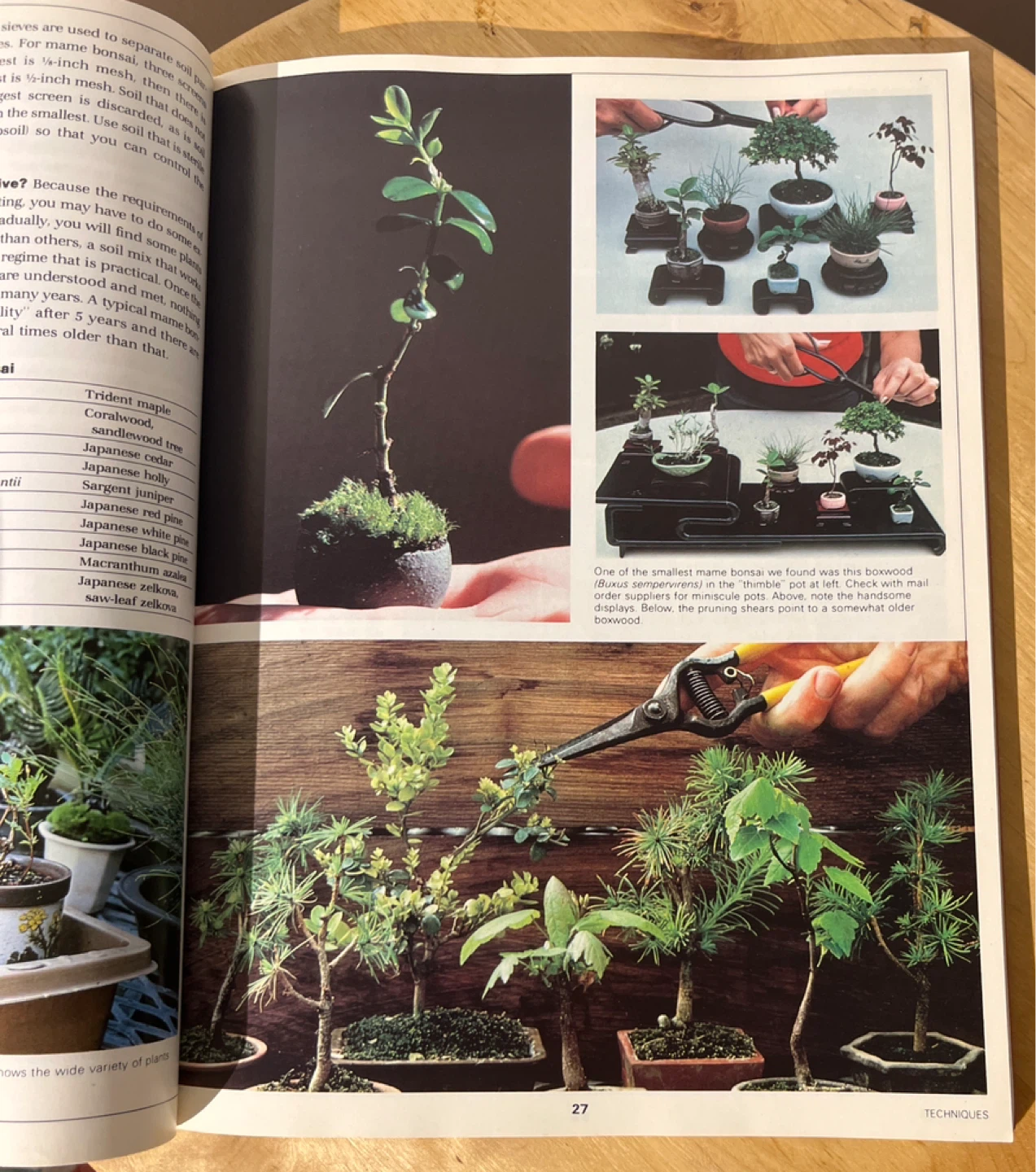 Award-Winning Small-Space Gardens Book - photo 4