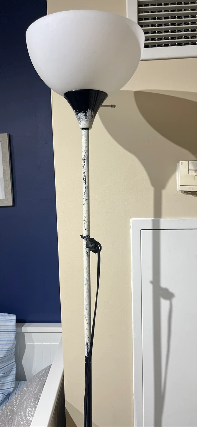Floor Lamp with Frosted Glass Shade