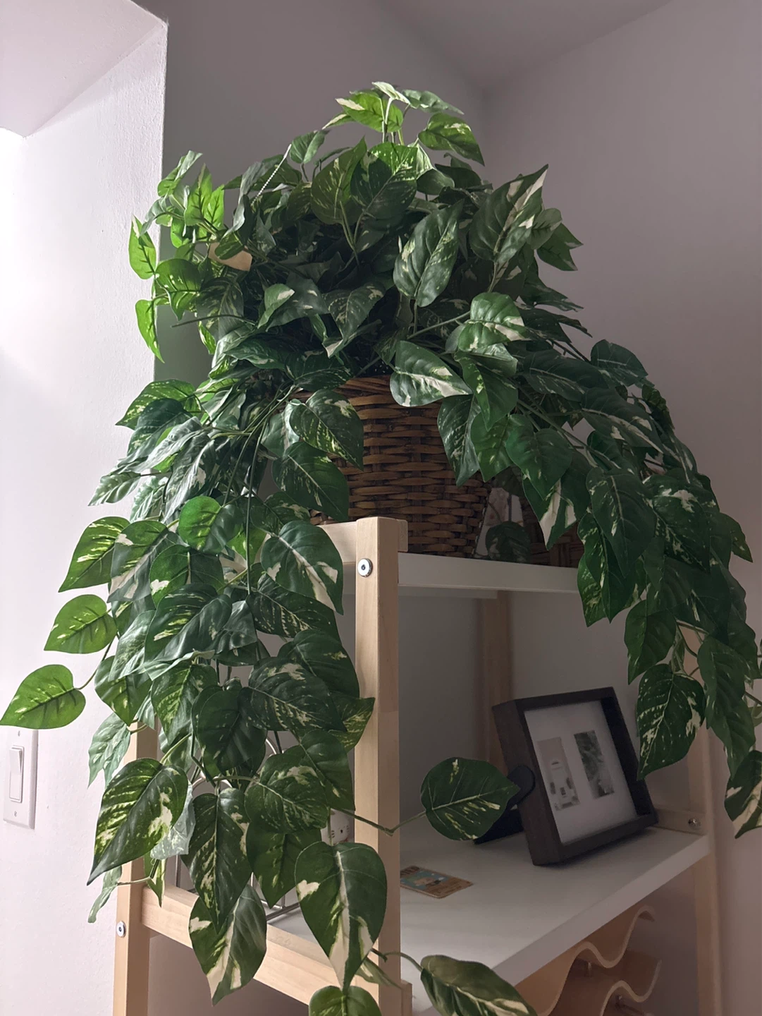 Large Faux Pothos Plant in Wicker Basket