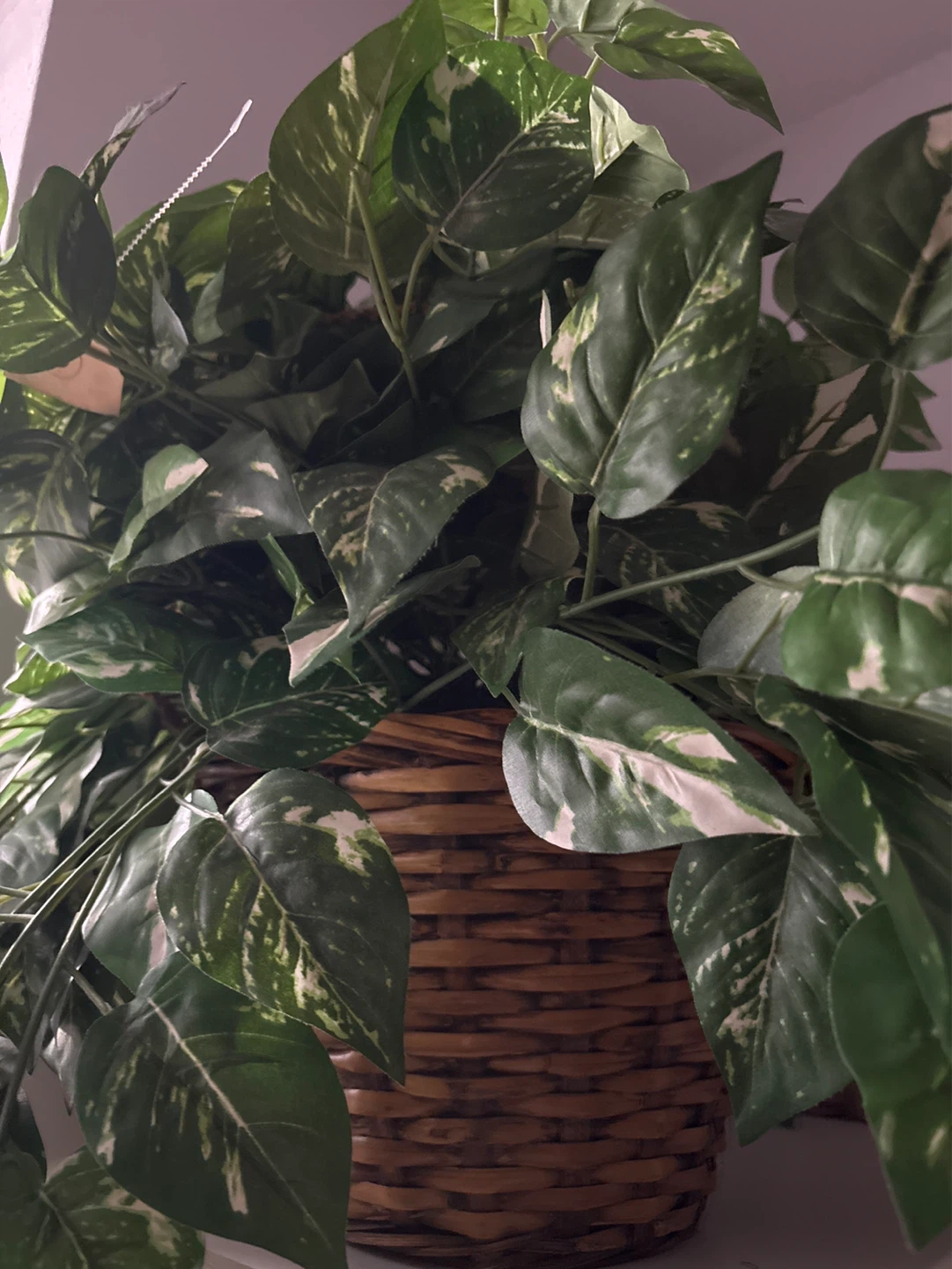 Large Faux Pothos Plant in Wicker Basket - photo 2