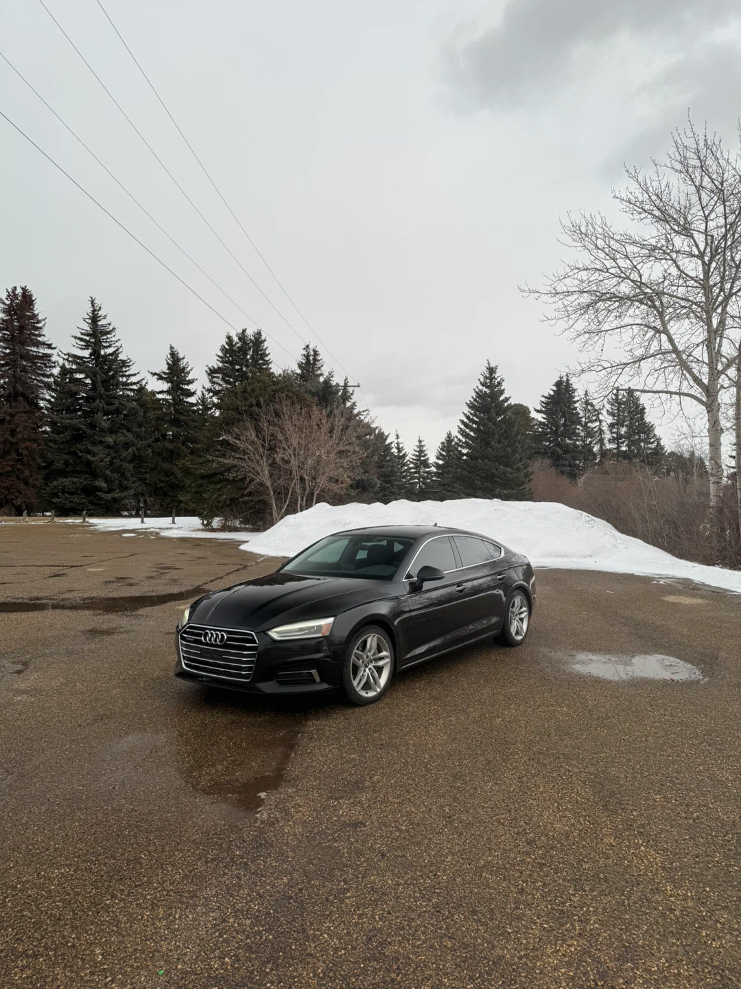 2019 Black Audi A5 Sportback - photo 2