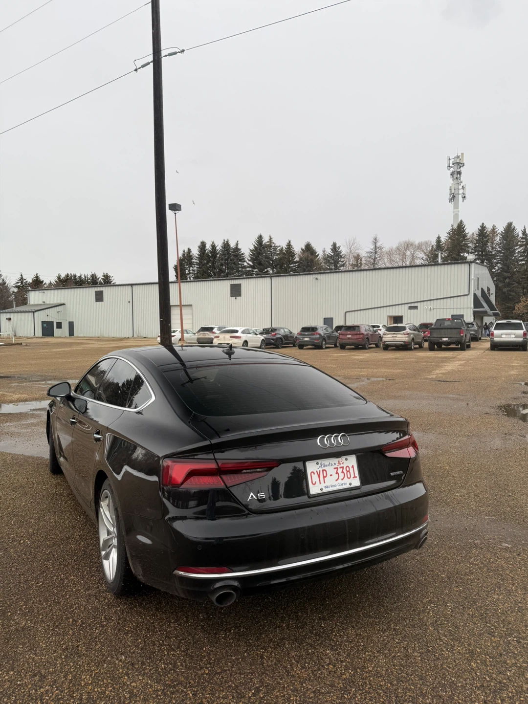 2019 Black Audi A5 Sportback - photo 3
