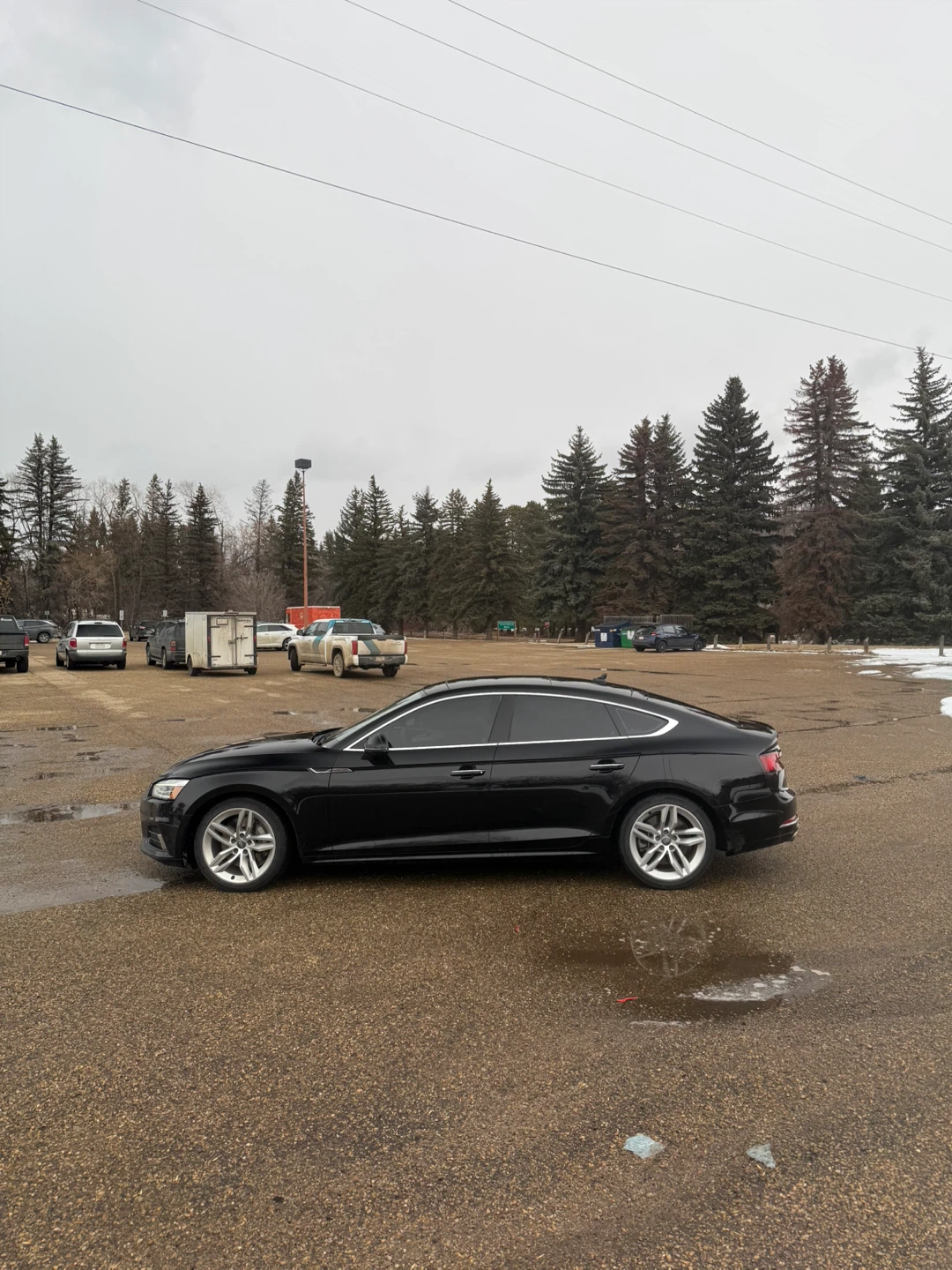 2019 Black Audi A5 Sportback - photo 4