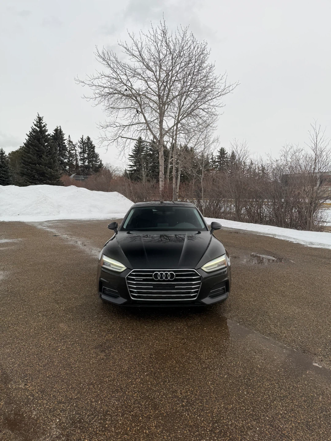 2019 Black Audi A5 Sportback