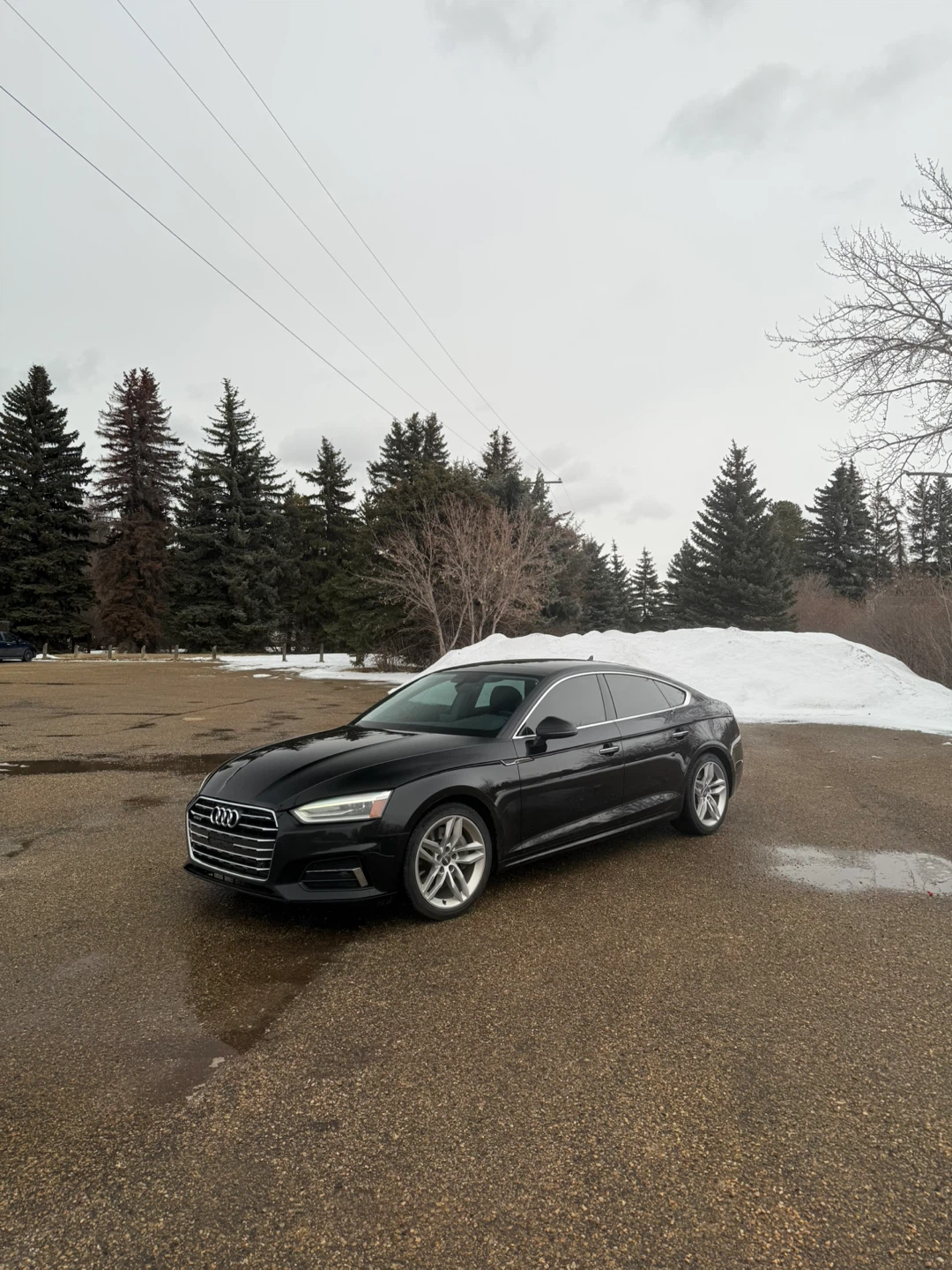 2019 Black Audi A5 Sportback - photo 5