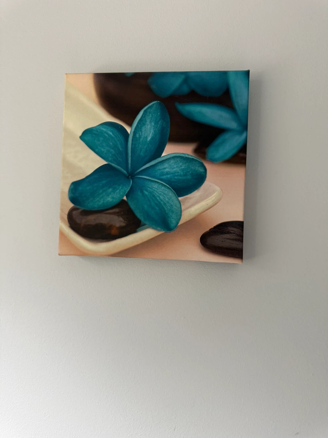 Canvas Print of Blue Flowers and Stones