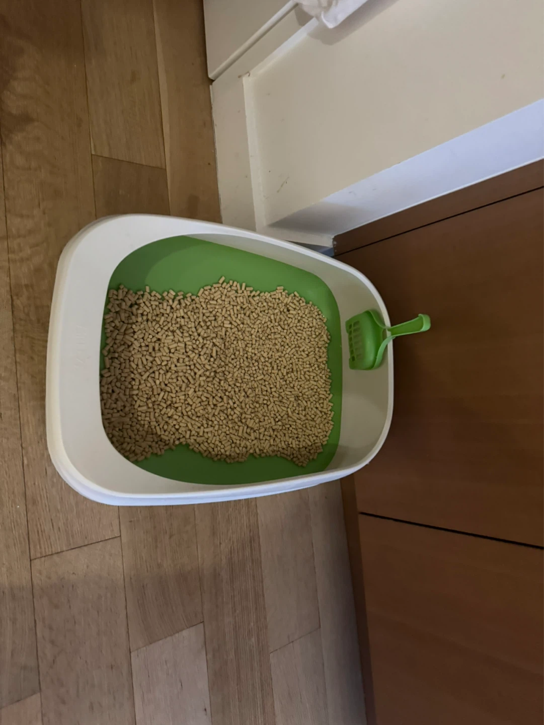 Plastic Cat Litter Box with Scoop
