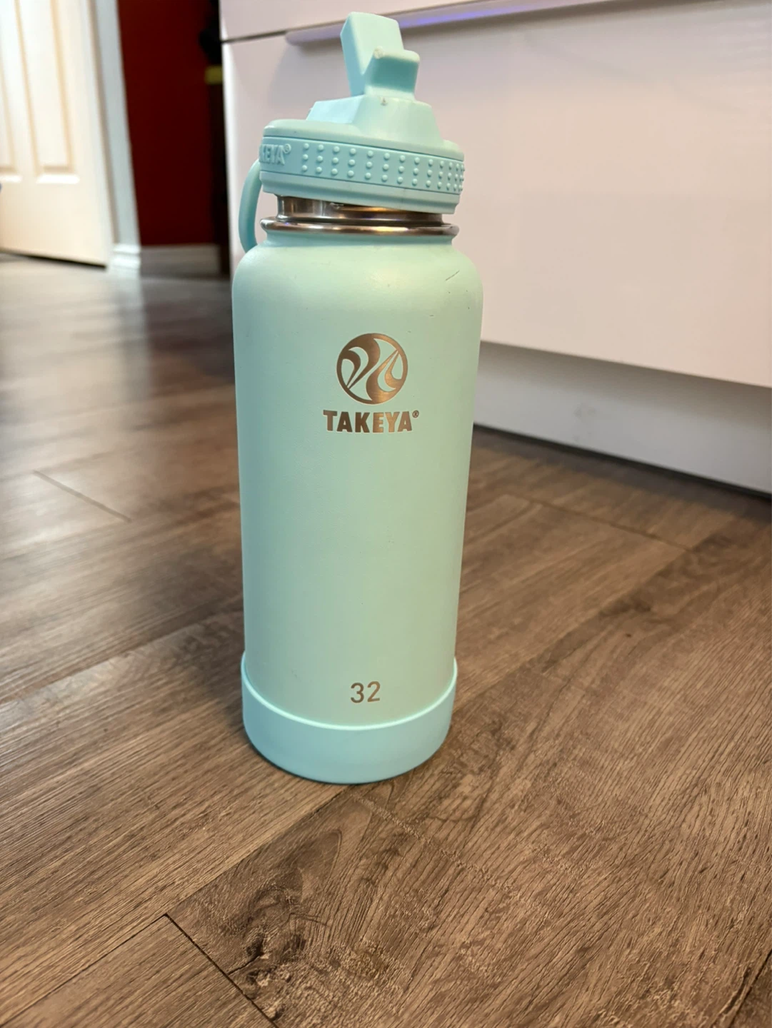 Takeya Insulated Stainless Steel Water Bottle with Spout Lid