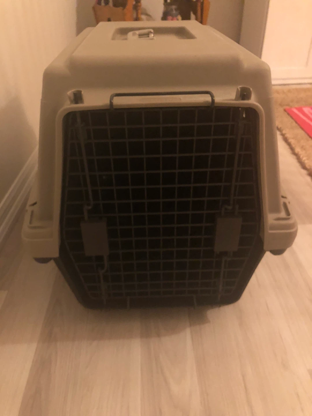 Large Pet Carrier Crate