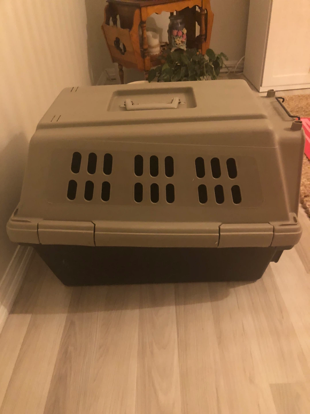 Large Pet Carrier Crate - photo 2