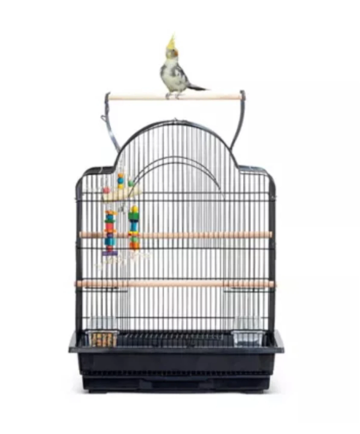 Black Bird Cage