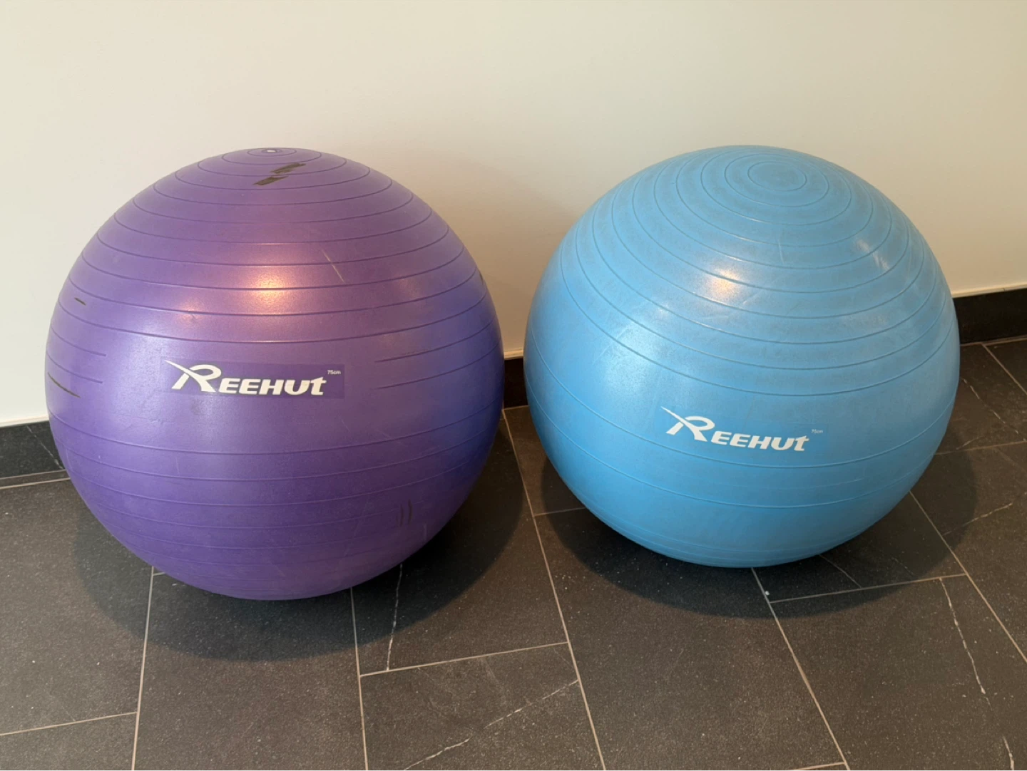 REEHUT Exercise Balls (Purple & Blue)