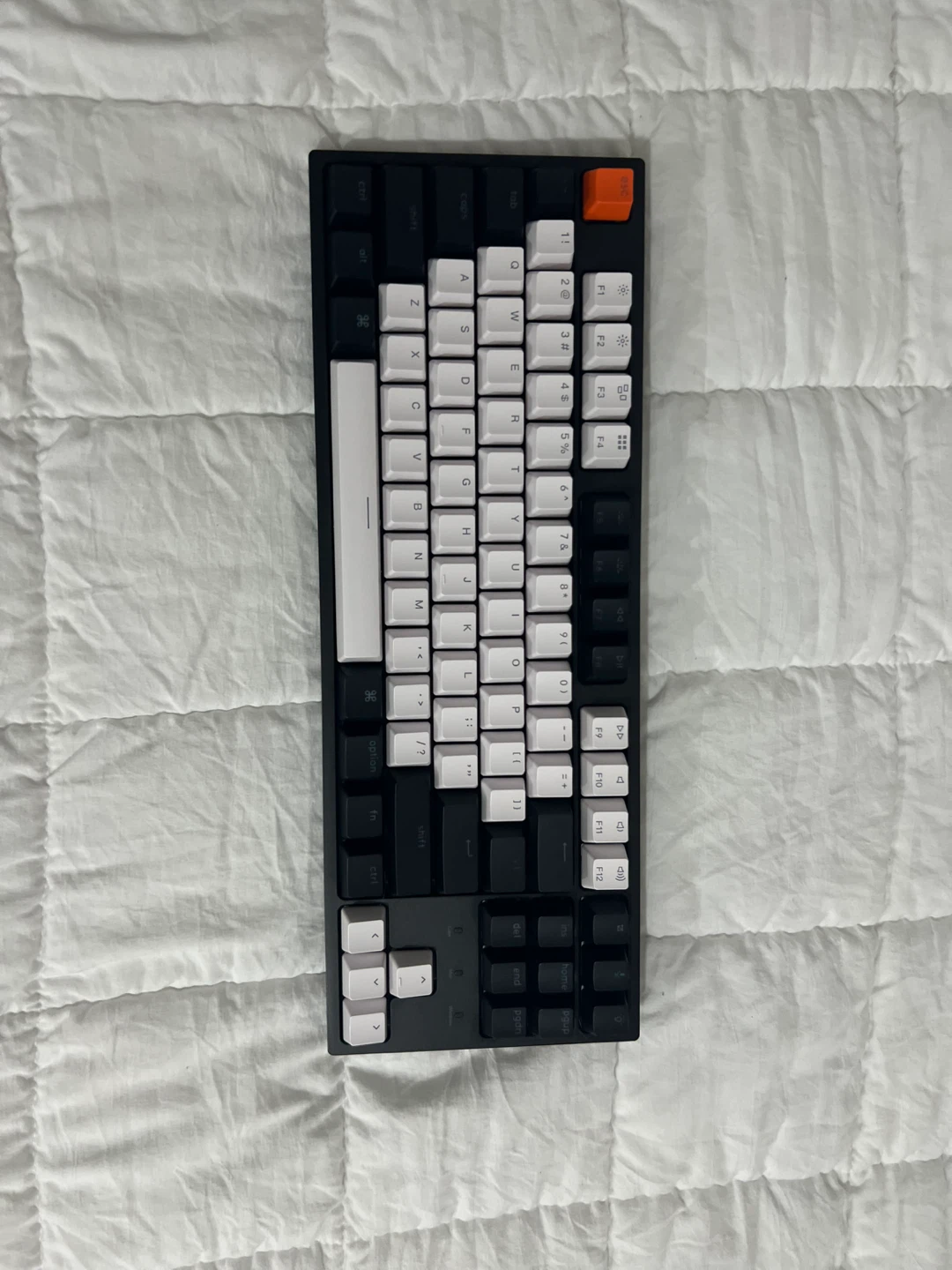 2 keyboards and a mouse - photo 3