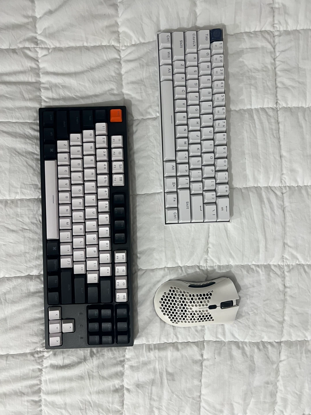 2 keyboards and a mouse